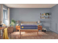 Golden Elegance Remmington Soft Euro Pillowtop Mattress - Schleider Furniture & Mattress Company