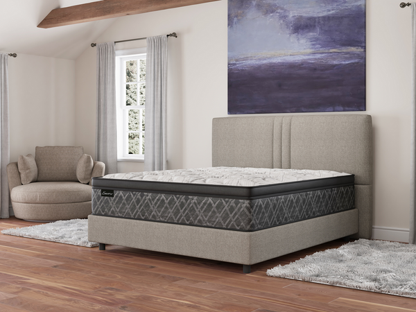 Encore Moonlight Pillowtop Mattress Set - Schleider Furniture & Mattress Company
