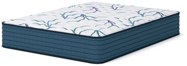 Limited Edition Firm 3.0 - Mattress - Schleider Furniture & Mattress Company 