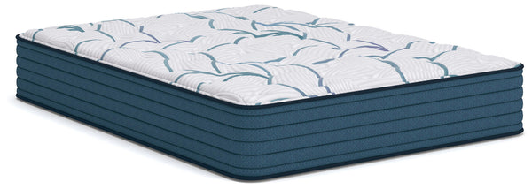 Limited Edition Plush 3.0 - Mattress - Schleider Furniture & Mattress Company 