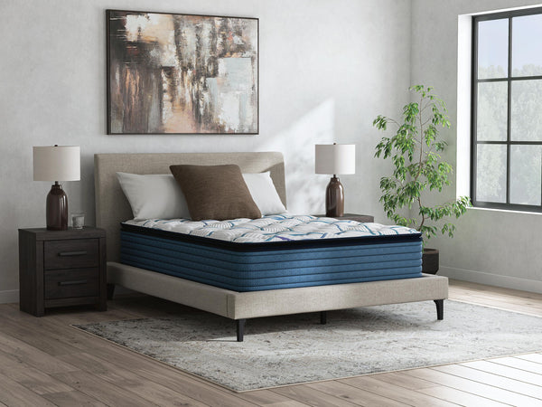Limited Edition Plush PT 3.0 - Mattress - Schleider Furniture & Mattress Company 