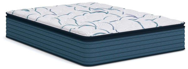 Limited Edition Plush PT 3.0 - Mattress - Schleider Furniture & Mattress Company 