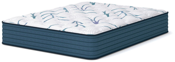 Limited Edition Plush 3.0 - Mattress - Schleider Furniture & Mattress Company 