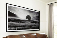 Deborland - Wall Art - Black / White
