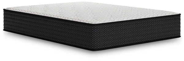 Limited Edition Plush - Mattress - Schleider Furniture & Mattress Company 