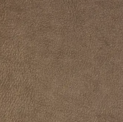 James Reclining Sofa - Tawny 444521-D206667