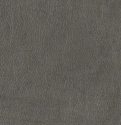 Joshua Leather Rocking Recliner -Goshen (Grey) 010502-LB172856