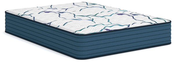 Limited Edition Firm 3.0 - Mattress - Schleider Furniture & Mattress Company 